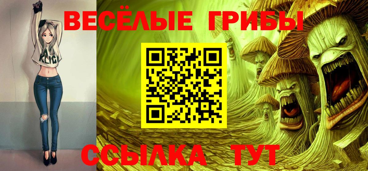 Галлюциногенные грибы Cubensis  Вход с VPN  Егорьевск 